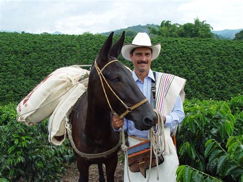colombian coffee guy